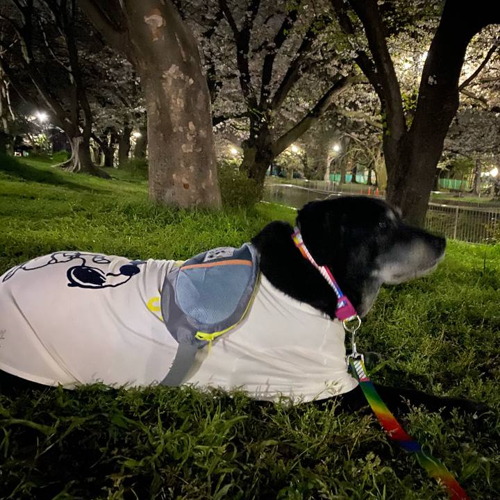 243c7cf0 b63c 4866 8f82 73e7c25bfab4 1680188734684