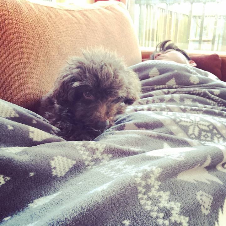 243c9ab2 de43 4fb0 9726 d3dded181760 1547666435731