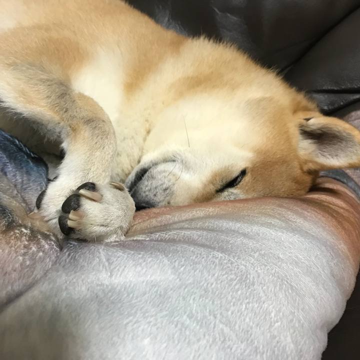 243cab01 7b03 4f59 854f a02794ac85dd 1512994532090