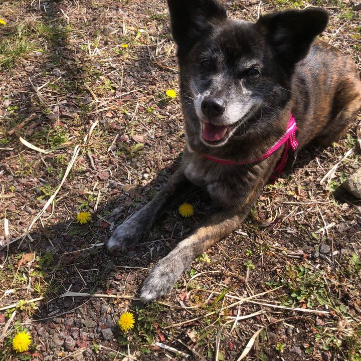 243cc948 b46f 491b a28b cc4f74915856 1647131676792