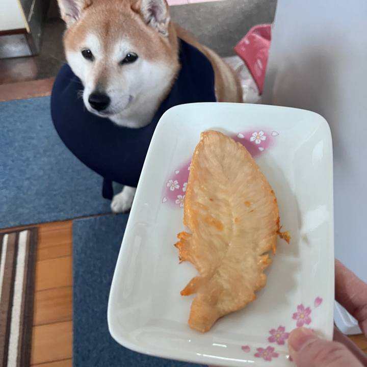 243ccf5e 49e4 4d9c 8c3f d0d6fb0a7c32 1703668825720