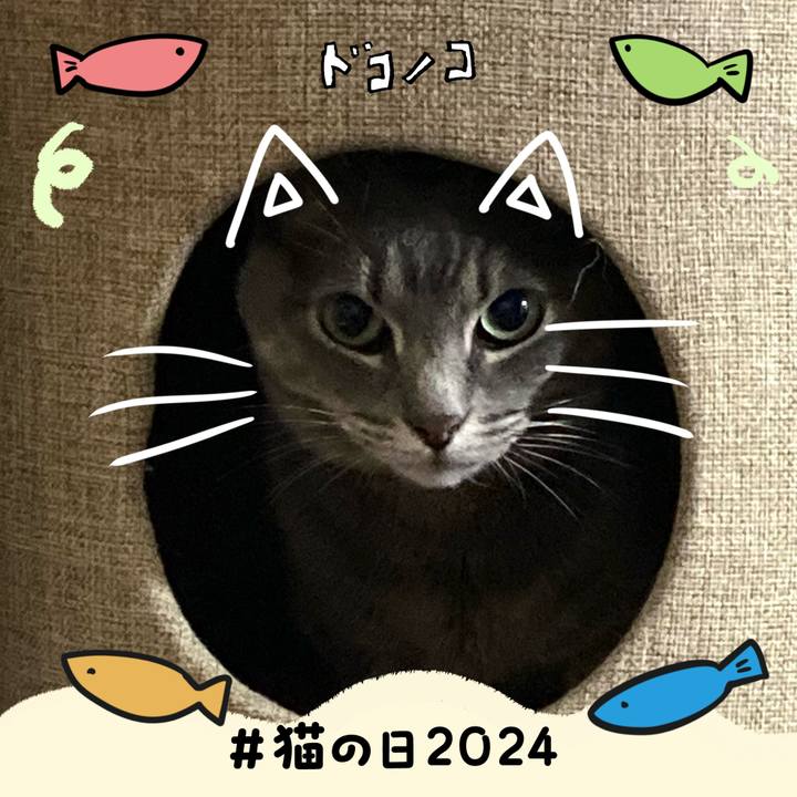 243d01b0 00fe 42ca a919 9663c8d39d4d 1708579895810