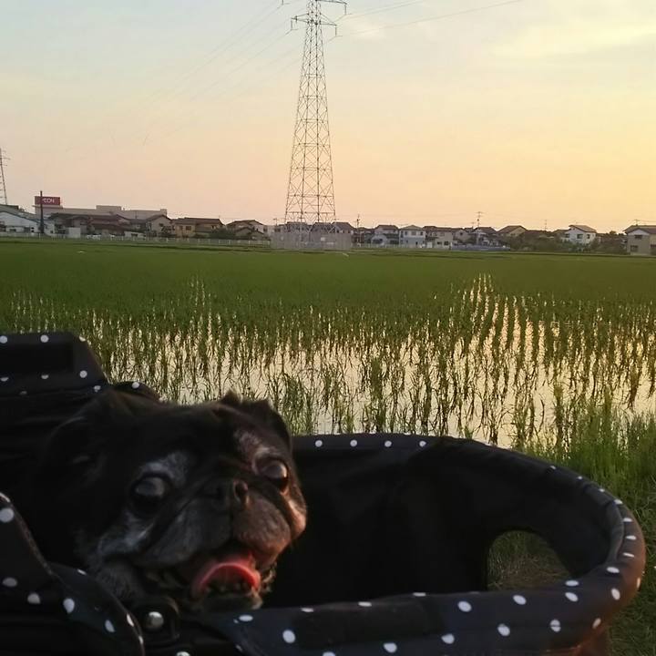 243d2f59 725f 430c 813a 7b24e1c01daa 1528108175482