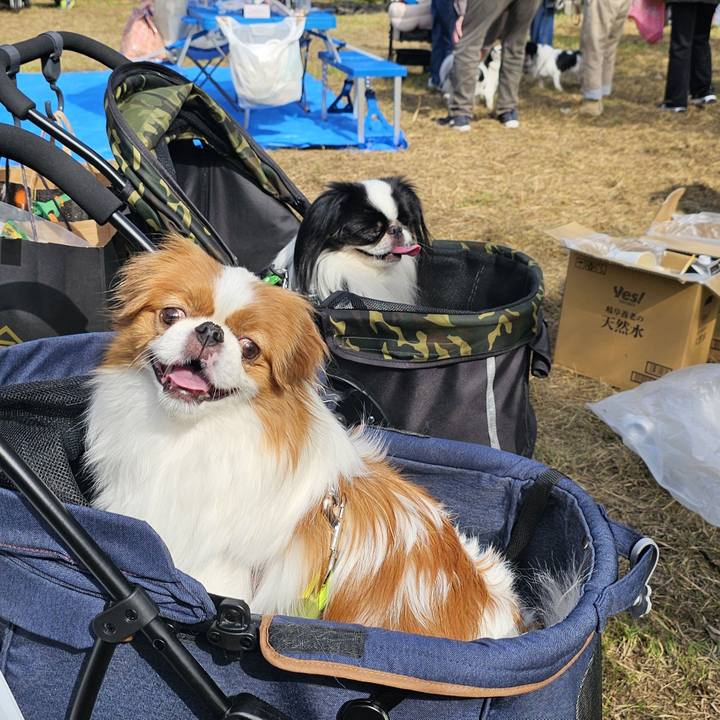 243d4c61 5b56 4a50 82f4 37b7004cc611 1730027592415