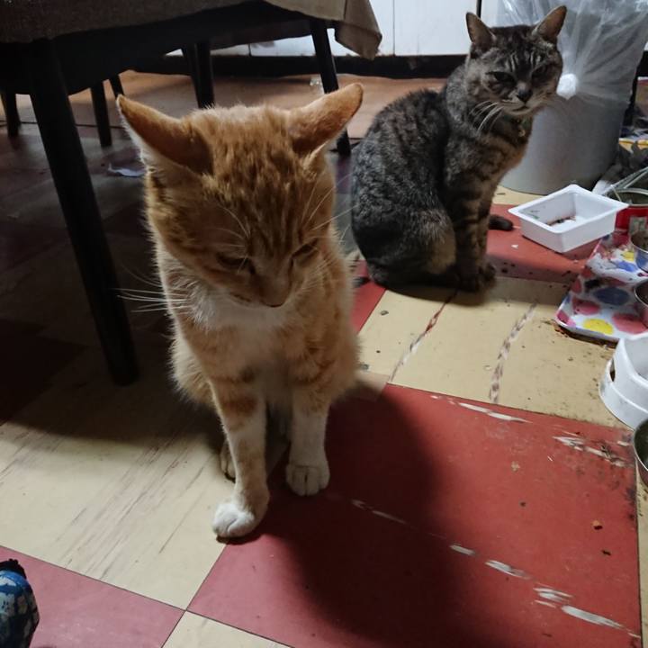 243d508d f880 436f a581 f70bacc1dcba 1559419999711