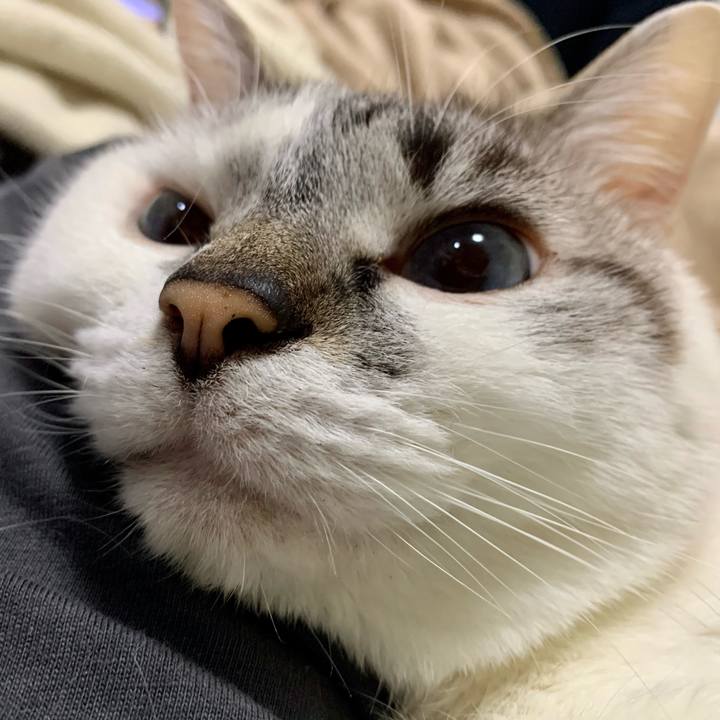 243d5bd2 b85e 4736 af2c dcef2ceb3d01 1619217643473