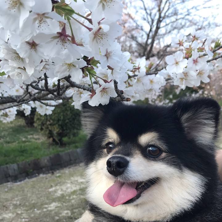 243d621b 0eeb 4702 9dbf 6dafd770d9f3 1588747672396