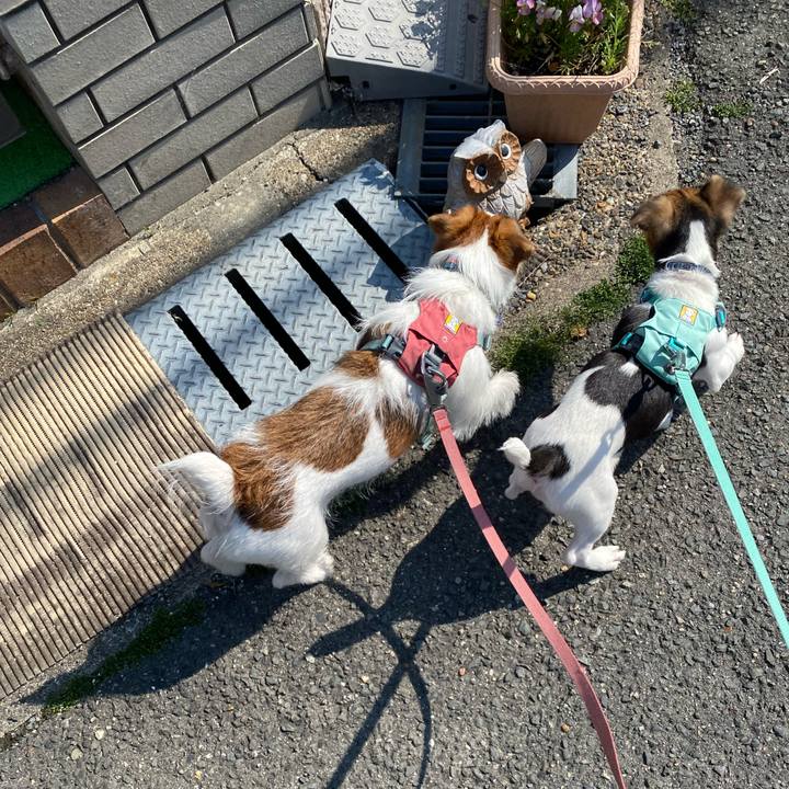 243d6f3d 9eeb 4f2a 9ed9 56a8f93aac36 1745648208170