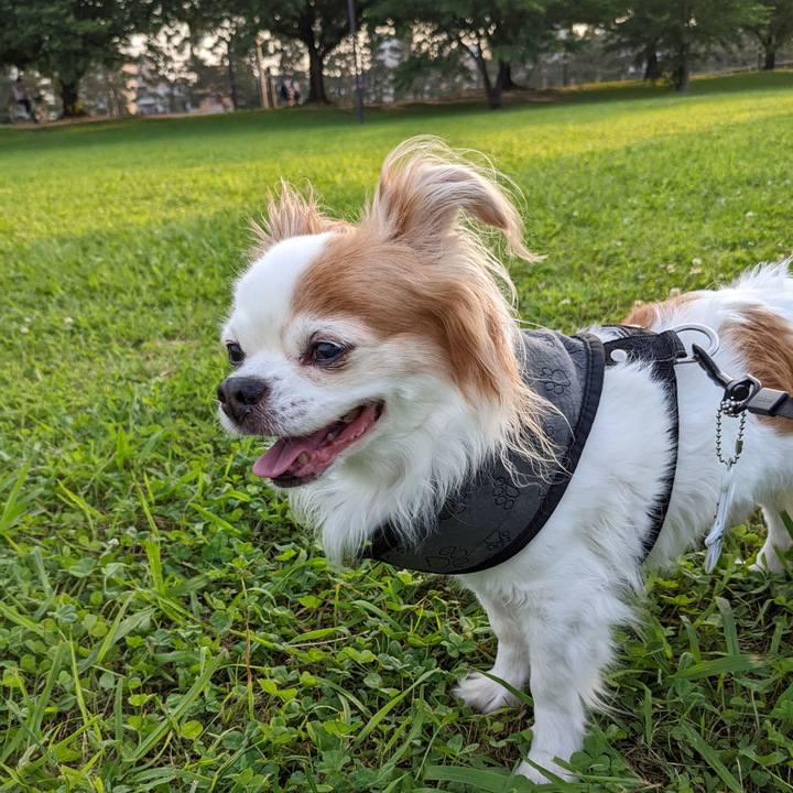 243d9802 825e 46cf a233 29282a346804 1655483257618