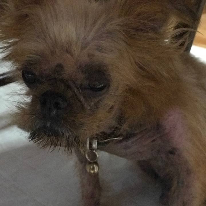 243db3ab c974 4458 b473 f601a79fb431 1537170913474