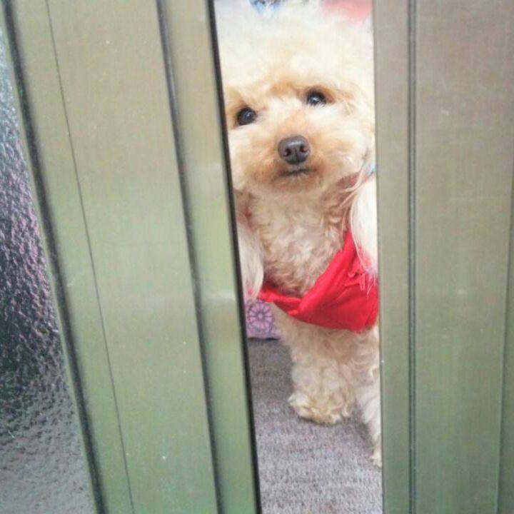 243dbffe 3ba2 460a 8017 df598800cd50 1543576459361