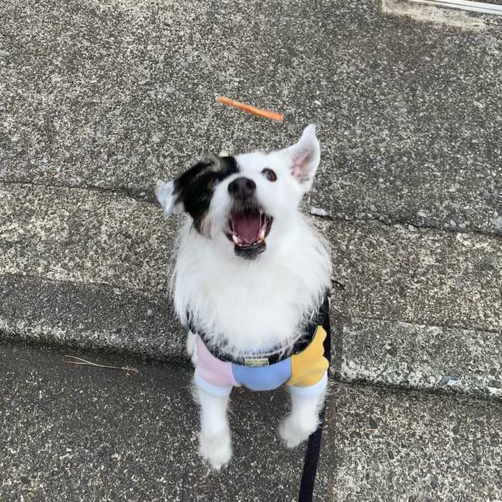 243dd52d 20e2 4db5 9134 aa53b023e26c 1741995928763