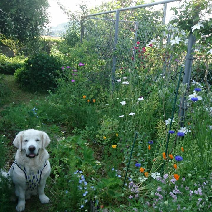 243ddd05 835a 4c36 963f 0b03d7185ca7 1524902963769