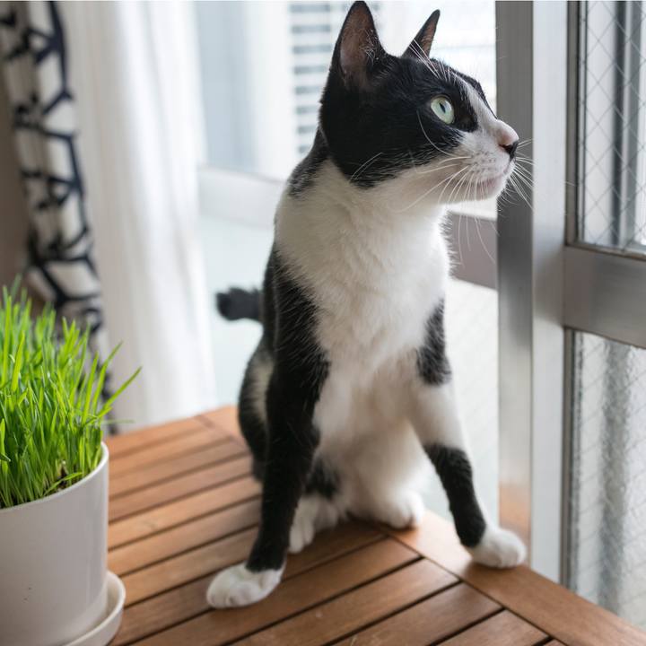 243e0954 0f89 484f aafc 74c29ccc5534 1533961953733