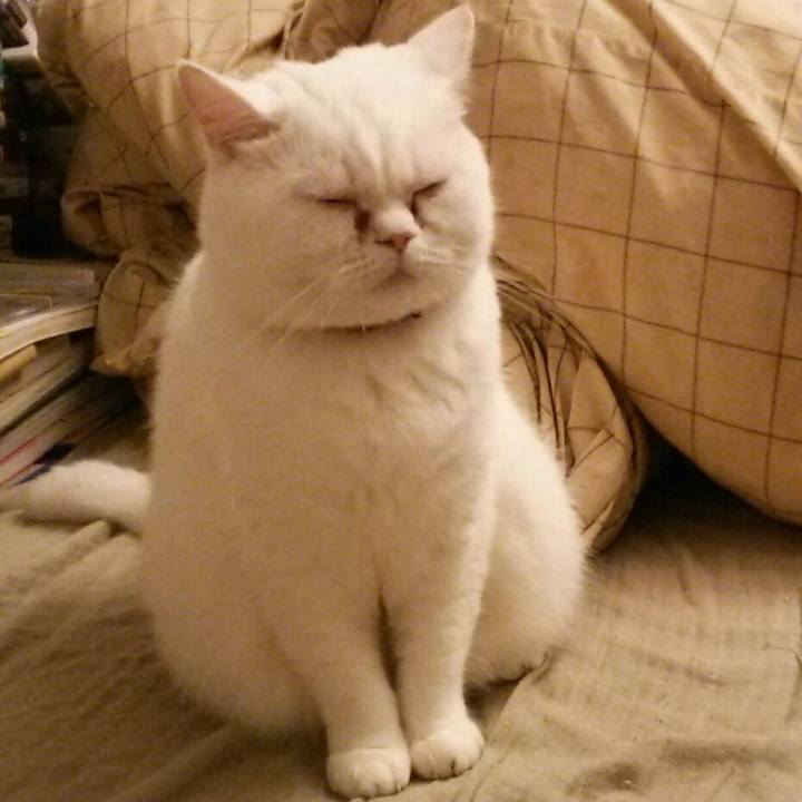 243e2ce5 0757 4c23 8939 fe6a52a33892 1510132229705