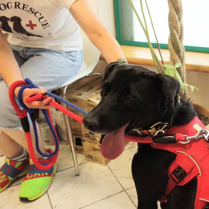 243e8367 690e 4868 afde 38631c6d47cf 1595411604311