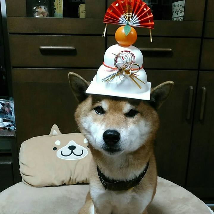 243eafe5 4970 45c6 830c a0f688f0852c 1578736928617