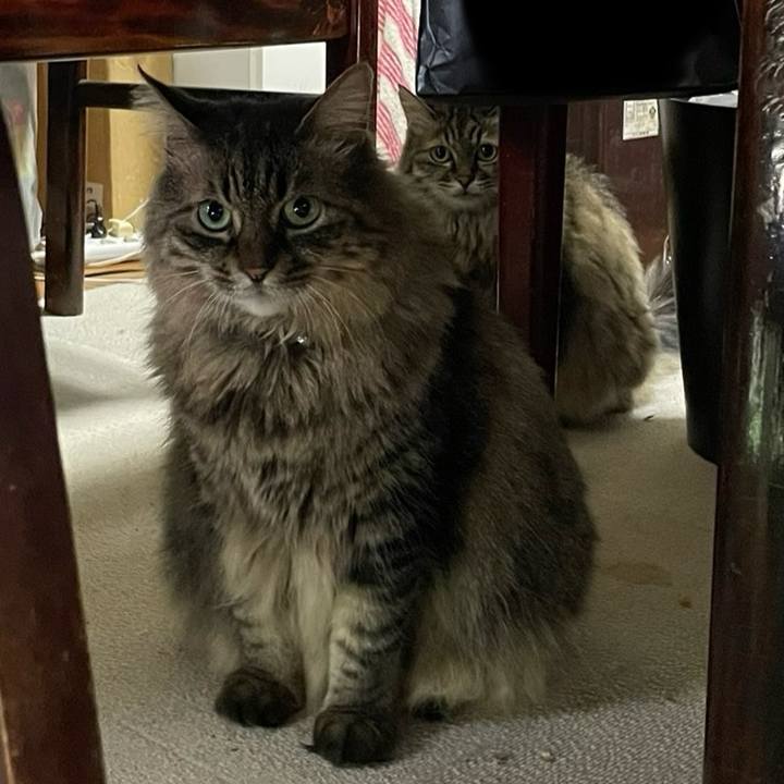 243ecdef 9735 41fa be2d 32e5ccbf48ea 1753706480022