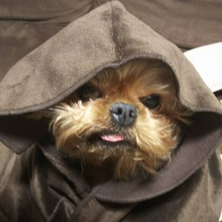 243f240e 43fb 4009 bd94 44be2feedef6 1514217233157