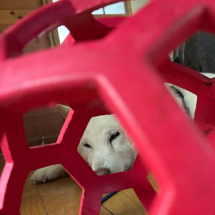 243f3556 33e0 4b1f 8d27 6c0bcc370c95 1751751890757