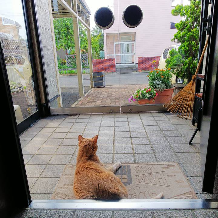 243f46ec e532 4f6f 9dab af8519e4ba2c 1657578418536