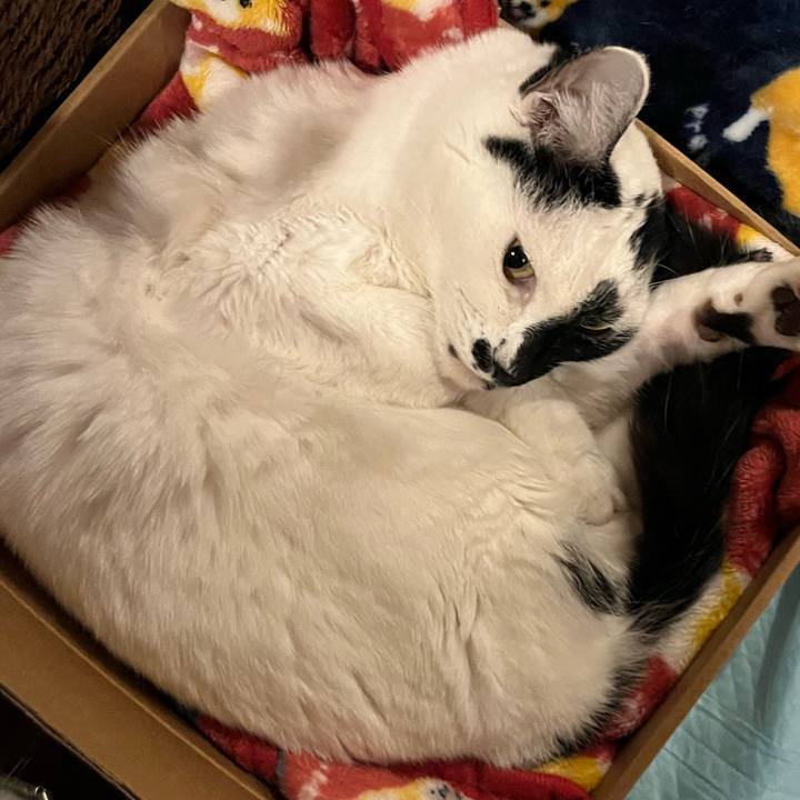 243f4ed7 f7ce 44d9 8f11 f42dc491b4da 1770297348737