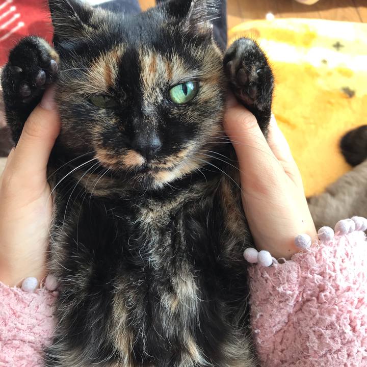 243f815e e1de 4a41 815d 31d5c35d22e5 1577536962701