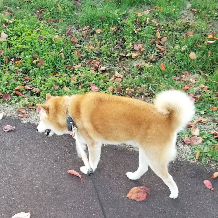 243fc723 d085 48a4 a142 728719108e72 1697268218468