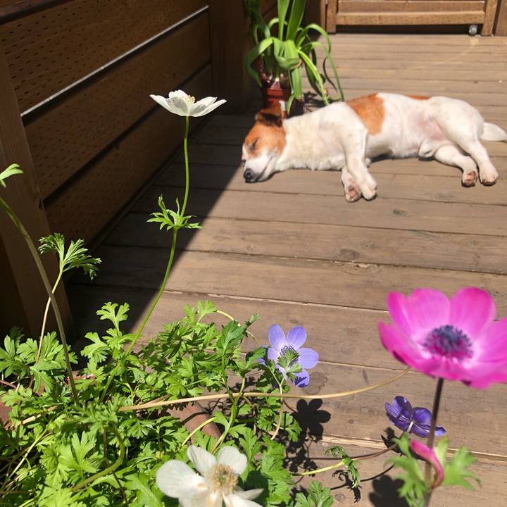 2440342d efef 4d78 ba7f e836722cbb1f 1604920990319