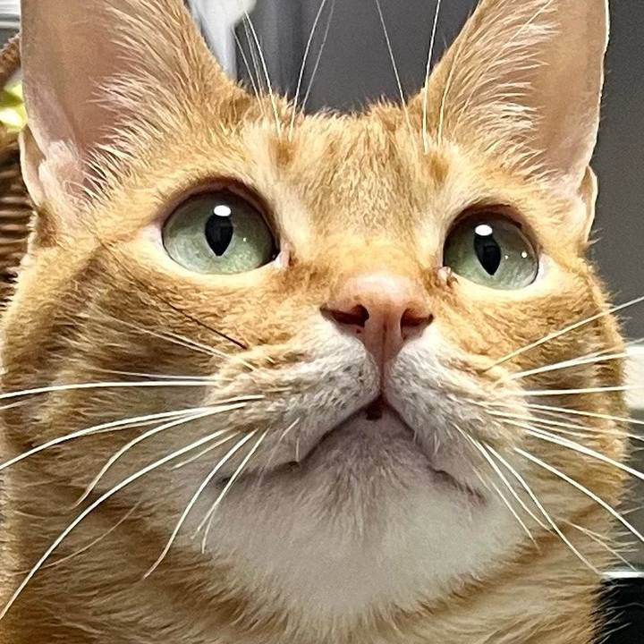 24405300 2c44 4347 897e 9faa785500ef 1651285629328