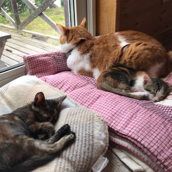 244057d6 3e7e 4d69 827c 0667decf917f 1597478062909