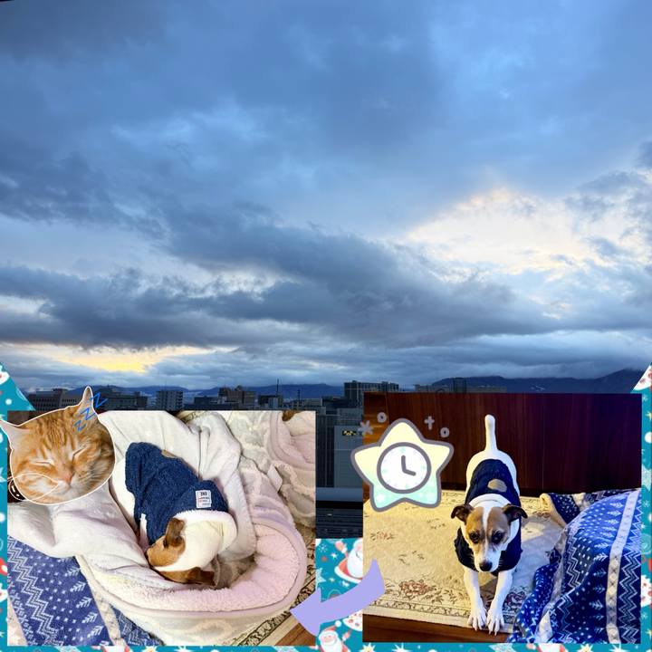 24406d9e d328 4e2c b4d1 2fd94e436ad0 1768085256981