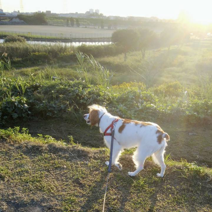 2440c034 4ad2 4f0b 8cf4 25b6efb46e6b 1540110266809