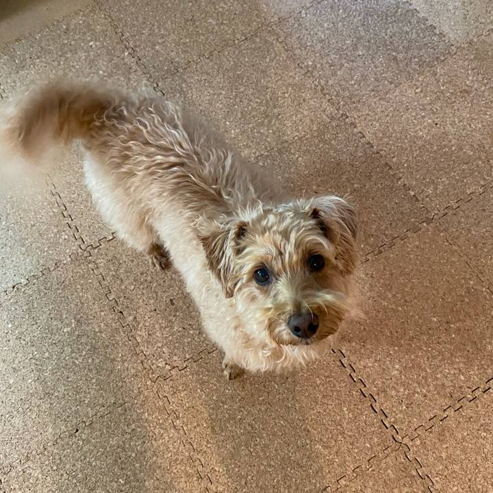 2440e713 57c0 4b66 8694 99218a1ee88c 1623883094815