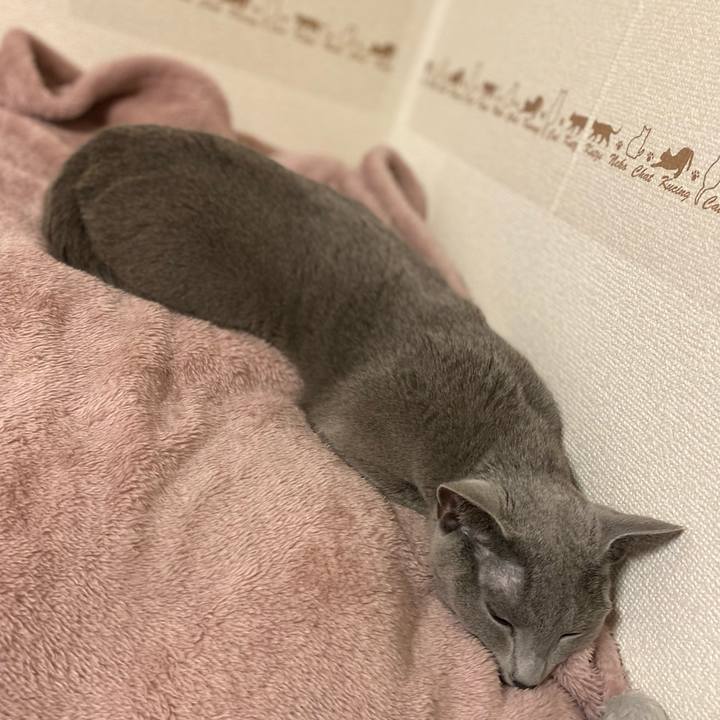 2440e732 8ae9 4796 8e85 88adc1ef3275 1638097980022