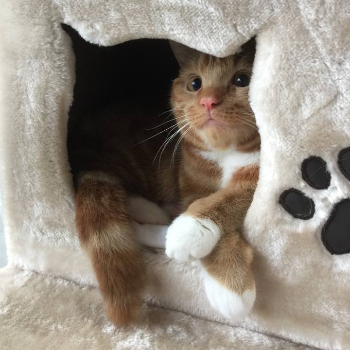 2440ee12 1884 4c3b 83a8 df0c2ed0d6a1 1508564057387