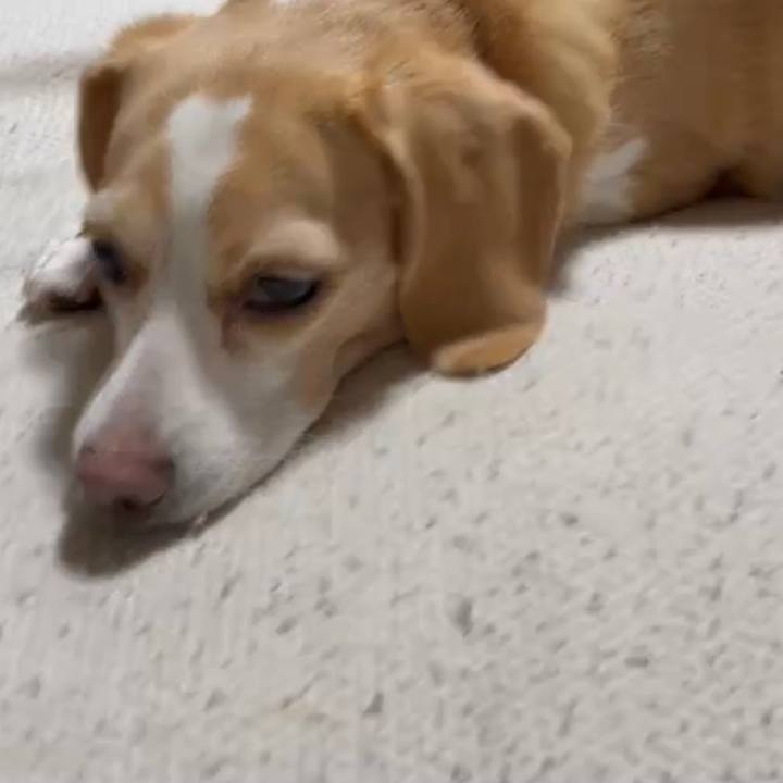 24410485 98d4 4bf2 836a b03015c86119 1667783058695