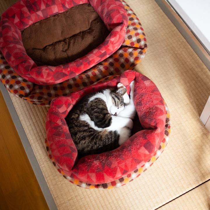 244151b2 6102 4396 94ec 30465e2379ac 1589521223595