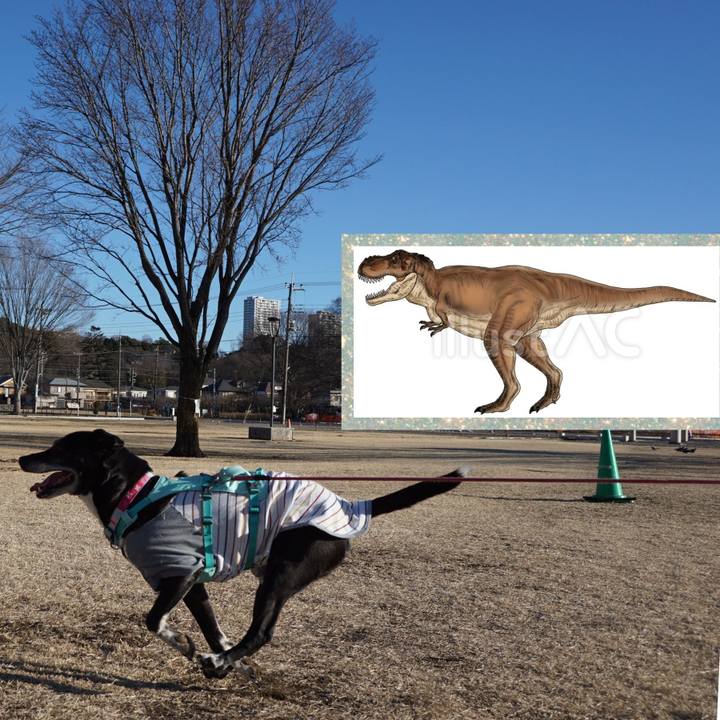 2441a736 028d 4c44 b02c cf182604b9c8 1769302647532