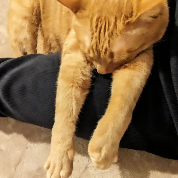 2441aefa d7e3 4255 9e35 736c967fd505 1673177456532