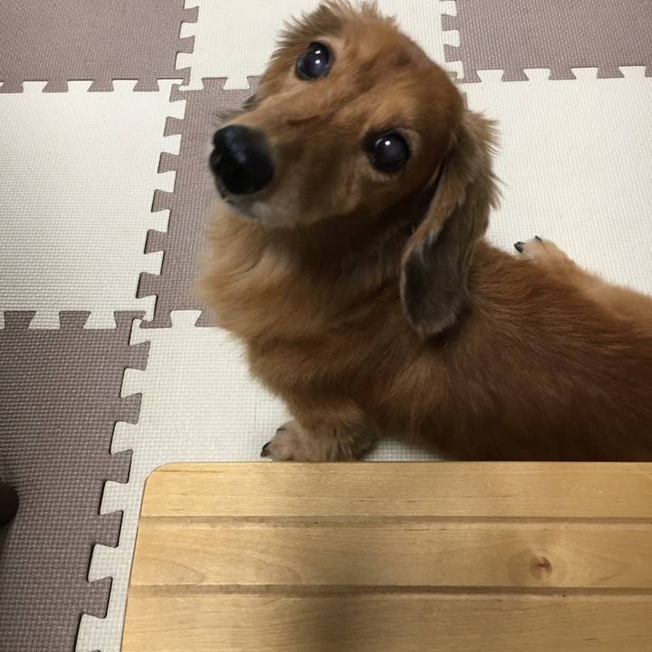 2441c99a ce6f 4781 8e84 351146f8d915 1597050015575