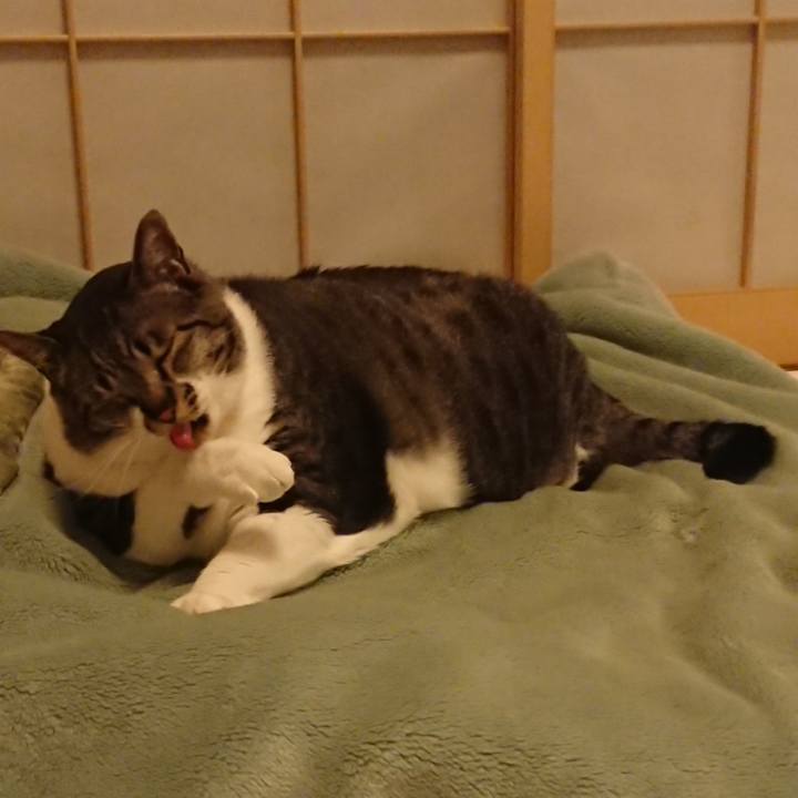 2441e8b9 2ca9 4b0b b7e3 c5911cc2796f 1560343537899