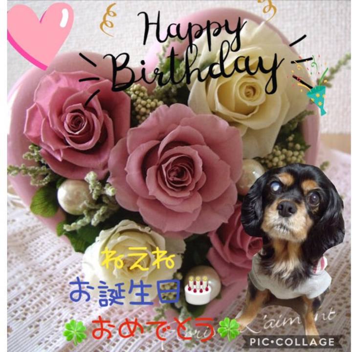 2441eba2 e8fb 45ec 8062 3386b0cbd4d0 1548516533740