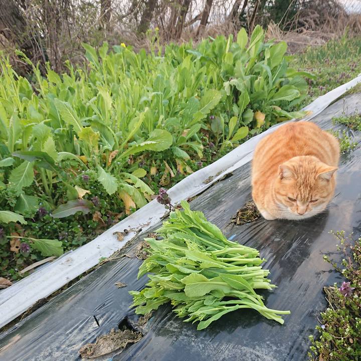 2441f9c2 a037 4a93 ad19 ce720f938fde 1585989377327