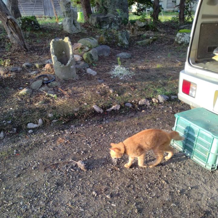 244228b3 1a9d 406e bede 3a2abf205147 1663537996364