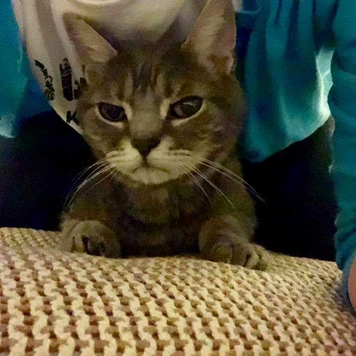 24423b71 a629 450b 8f1a 2b7725386e1e 1561553542068