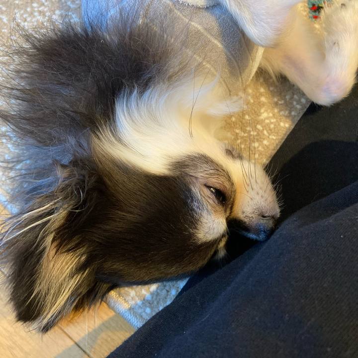 24424e5b fcb5 469e aaf1 21a66875306d 1714733671769