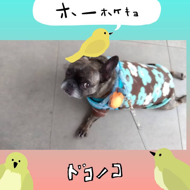 244282f5 8859 43d1 8c9e 732a1d31f2c6 1711021896335