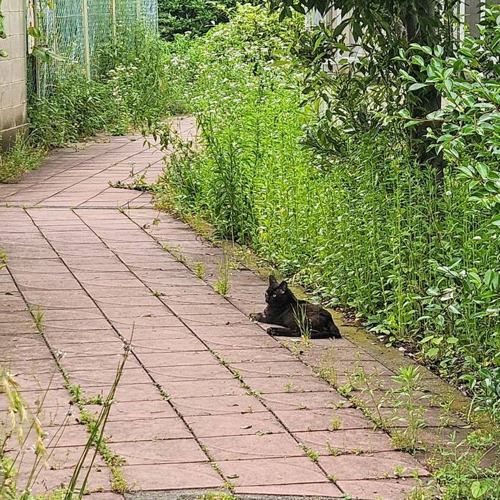 24428fc8 ee08 483f 8da5 9ebdcfa1b161 1747616538832