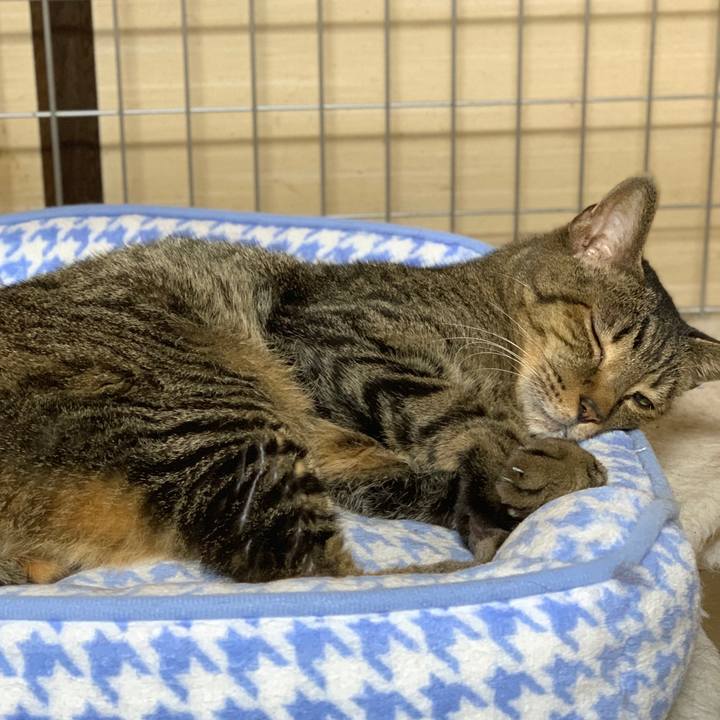 2442c627 2393 440b 913c 1e1a9f10f375 1599788301345